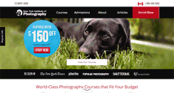 Desktop Screenshot of nyip.ca
