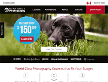 Tablet Screenshot of nyip.ca