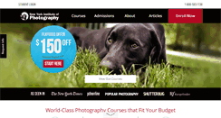 Desktop Screenshot of nyip.edu