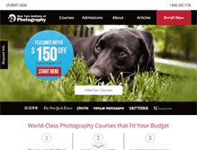 Tablet Screenshot of nyip.edu